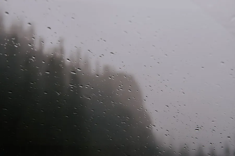 Rain drops running down window glass with misty trees beyond, the wet conditions windows face on the edge of Dartmoor