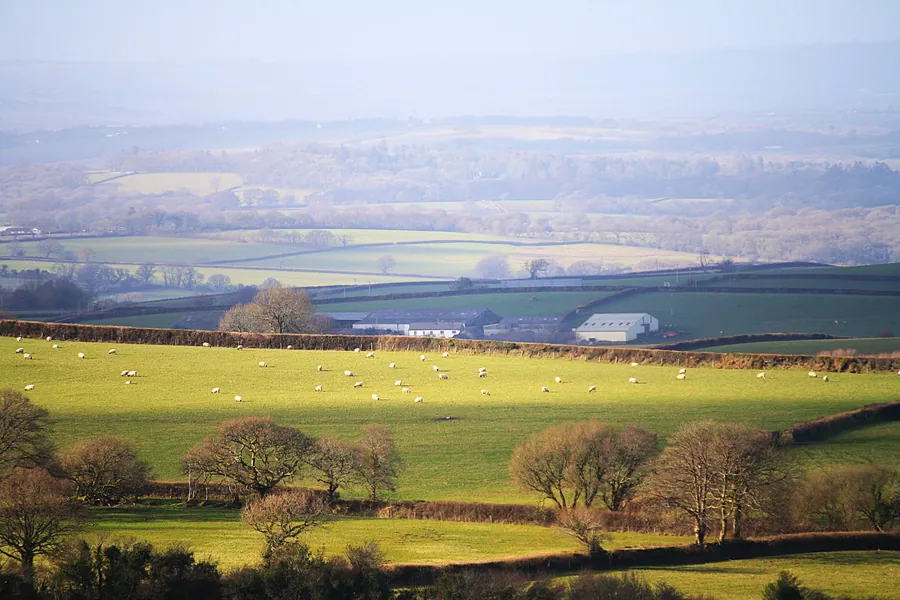 Patchwork of hedged fields, grazing sheep and farm buildings in Devon countryside like the hills around Honiton and Ottery St Mary