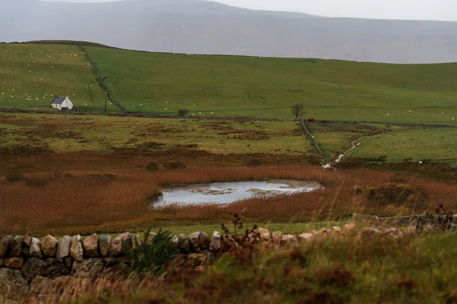 Isolated white farmhouse across wet moorland fields and a dry stone wall, the sort of remote Dartmoor edge property where access affects window costs