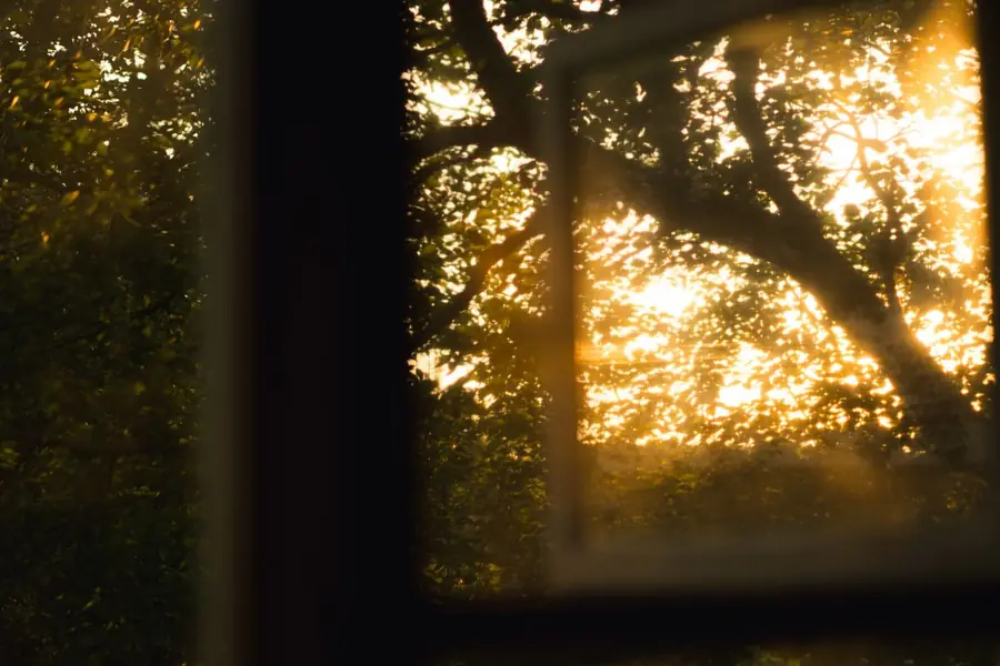 Low sun striking window glass, the effect solar control glazing reduces