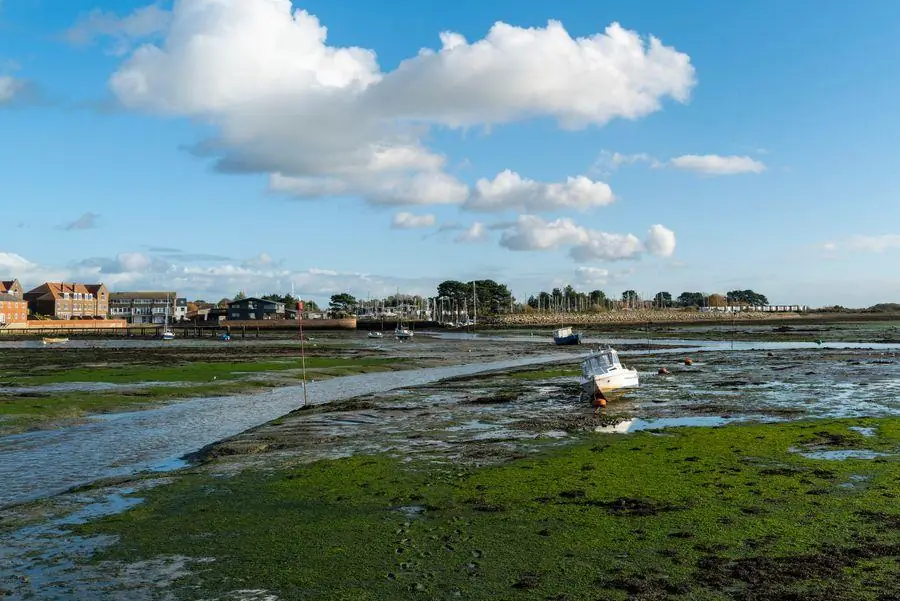 Low tide on a quiet English estuary with houses along the far shore, the setting for many Topsham window replacement quotes