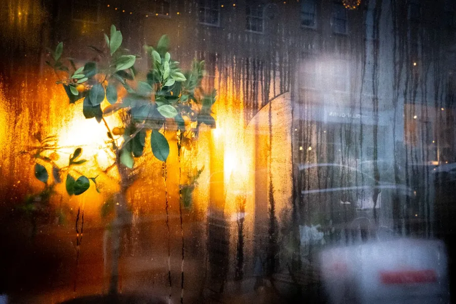 Heavy condensation running down window glass, the common problem in an unheated porch through a Devon winter
