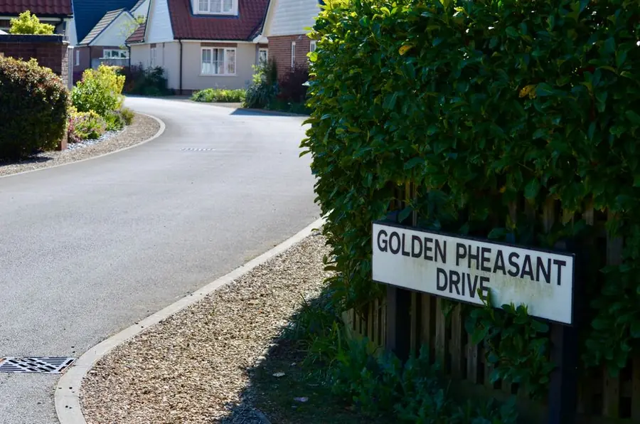 Sunny summer view of a suburban street with houses of the type found around Exeter