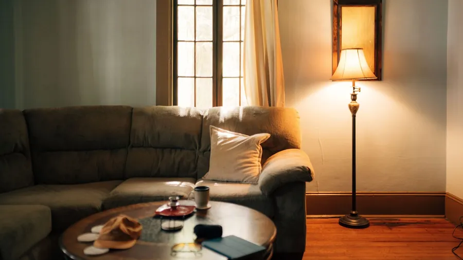 Warm Exeter living room lit by daylight - how Low-E coatings and argon fill affect window energy ratings