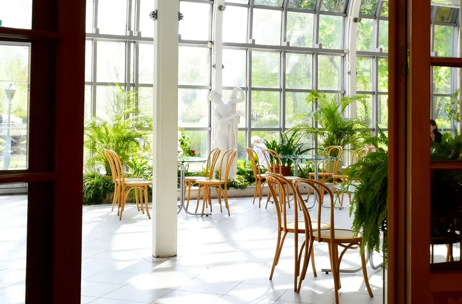 Sunlit conservatory interior - solar control glass options for south-facing Exeter rooms and garden rooms