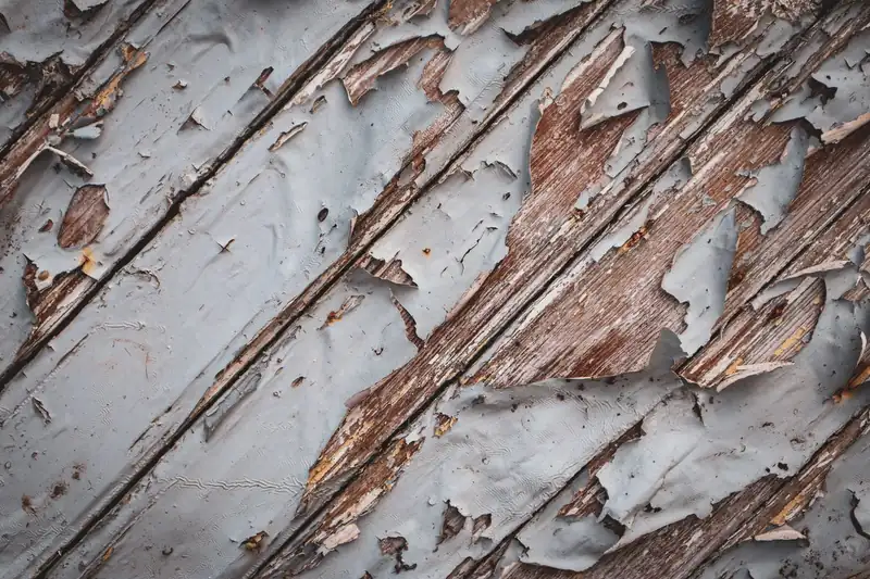 Peeling paint and weathered timber on an old window frame due for replacement in Exeter