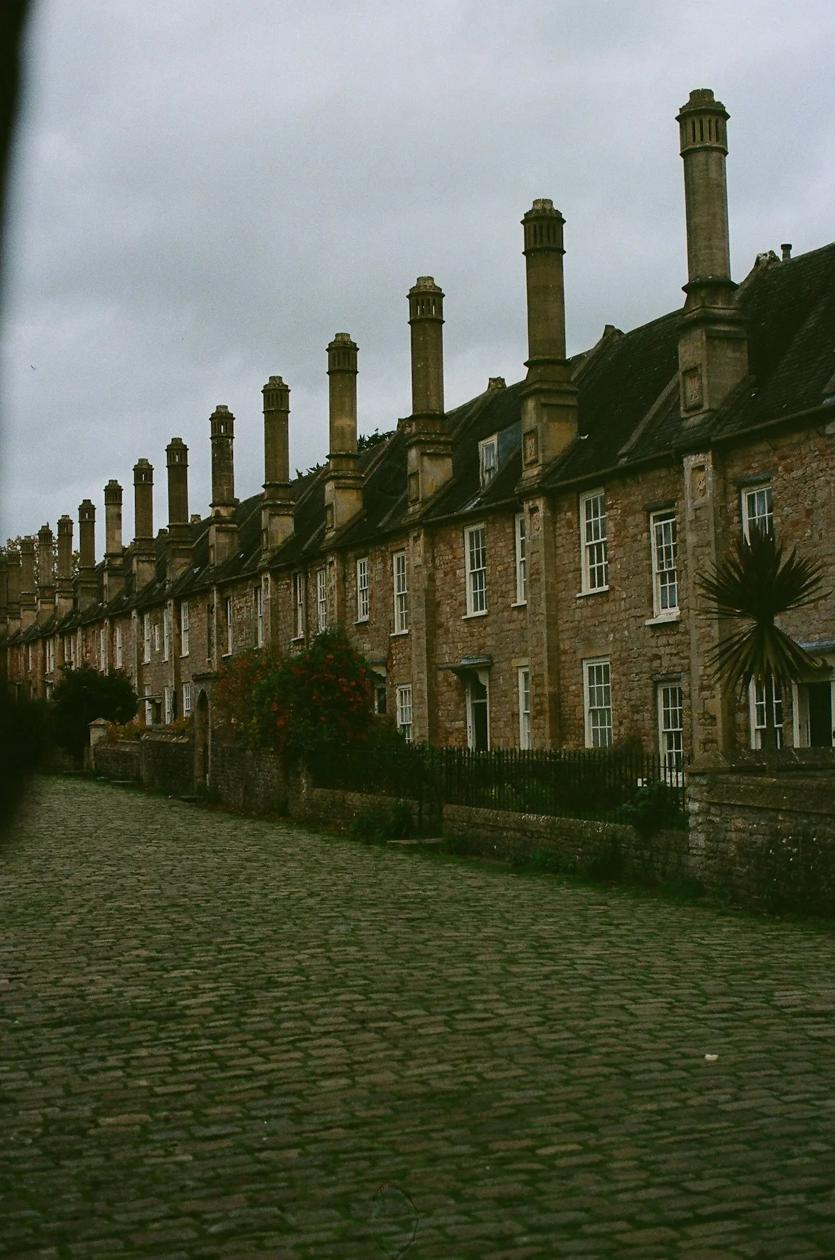 Terraced houses in Devon - window replacement specialists serving Dawlish